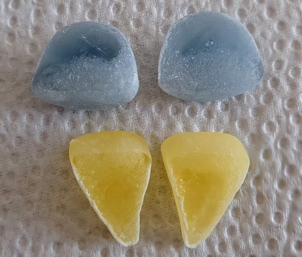 しゃりinグミの断面図