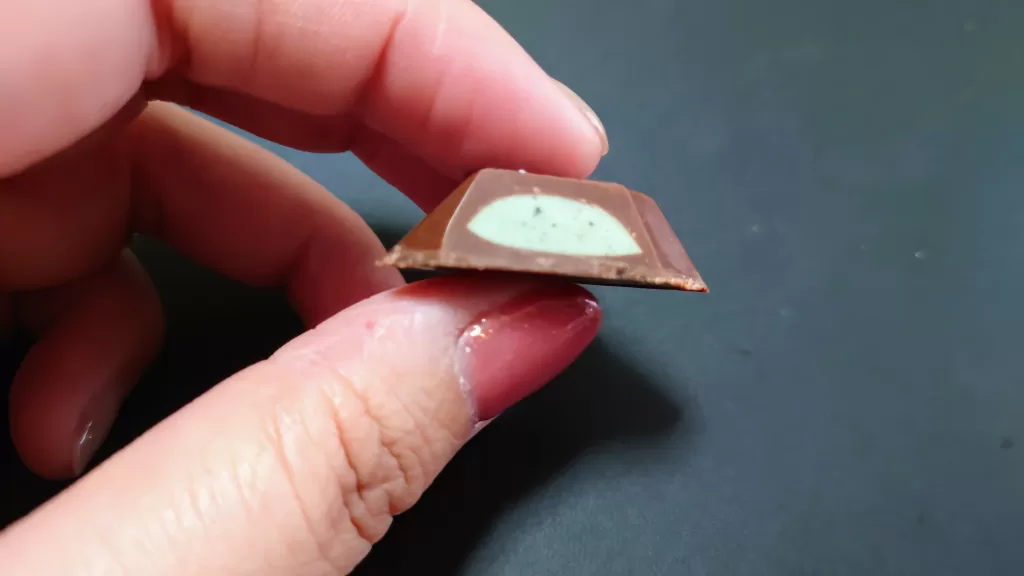 １２粒サーティワンチョコレート（チョコレートミント風味）断面