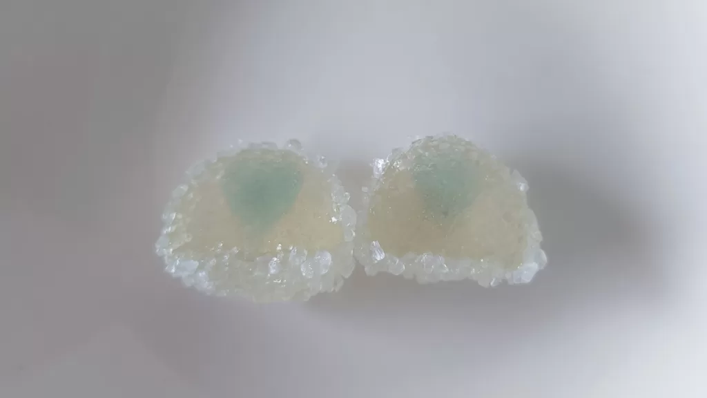 ザクラメグミ断面